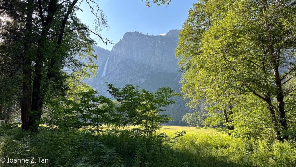 Dreamy lush meadow in Yosemite Valley, waterfall & cliffs. By Joanne Z. Tan, global brand strategist & branding expert, writer, award-winning photographer, poet