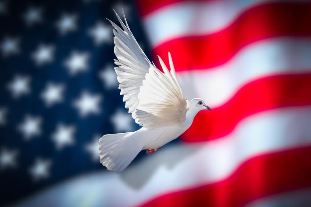 Assassination of Charlie Kirk & gun violence in the US is a call for our better angels for self control, Joanne Z. Tan's tragedies in Cultural Revolution (flag, dove).