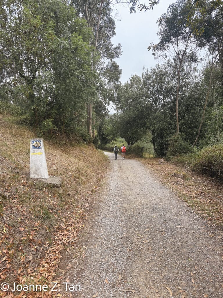 Joanne Z. Tan reflected on companionship, solitude, community, and detachment on the 200-mile hike of Camino de Santiago Primitivo & 3-week adventure in Spain.