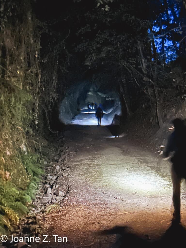 Joanne Z. Tan on pre-dawn hiking with a headlamp in her memoir on walking Camino de Santiago Primitivo in Aug 2026, as part of her 3-week adventure in Spain.
