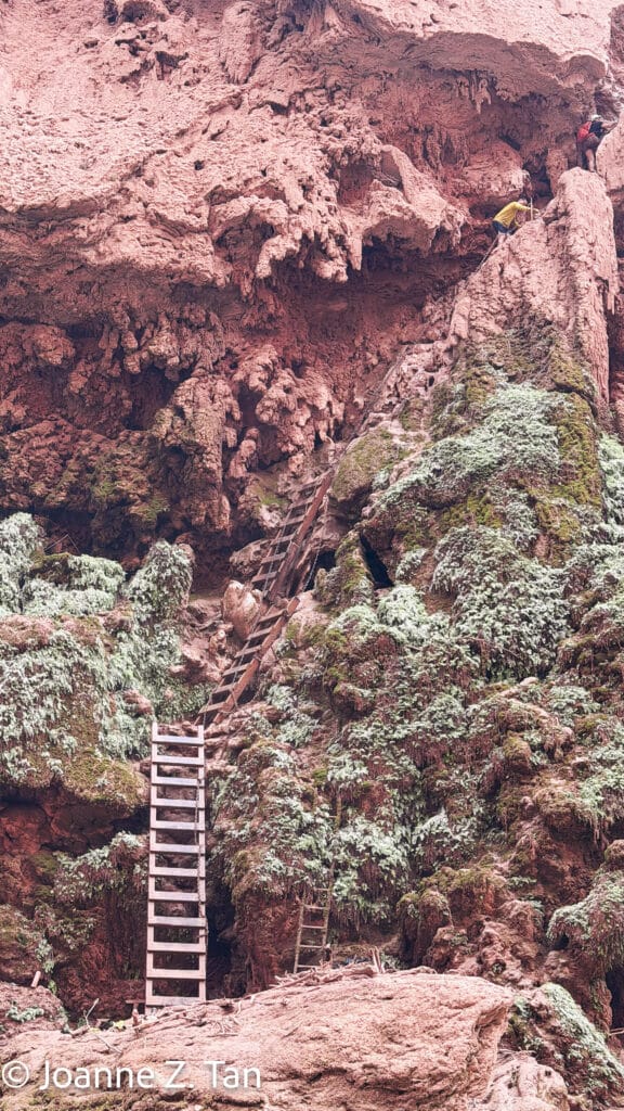 Ladders & chains to Mooney Falls, Havasupai falls, angels, Grand canyon & western desert - Joanne Z. Tan on humanity & nature in her poetic memoir.