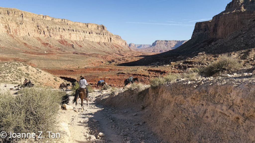 Joanne Z. Tan described Grand Canyon, Havasupai falls, angels, vast sky over western desert, God, nature in her poetic memoir on spirituality & mortality.