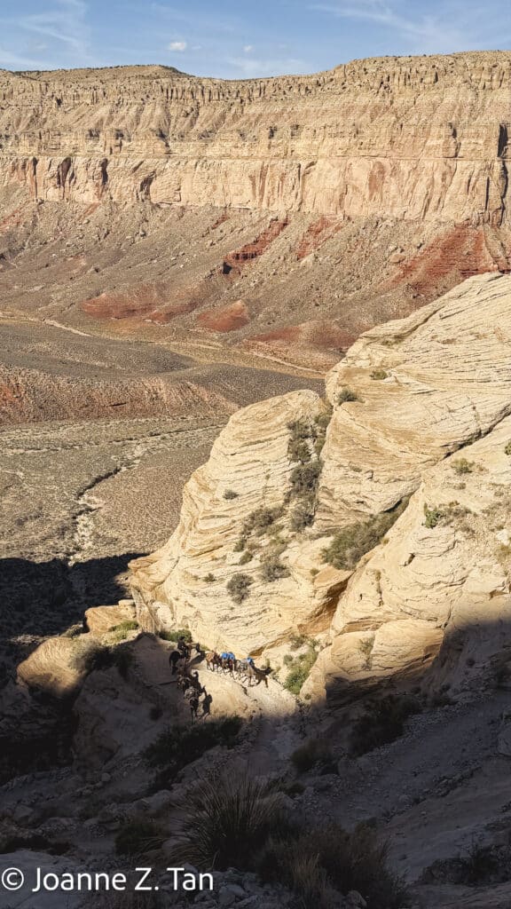 Joanne Z. Tan described in her poetic memoir hiking down Grand Canyon to see Havasupai falls, angels, vast sky over western desert, God, nature & mortality.